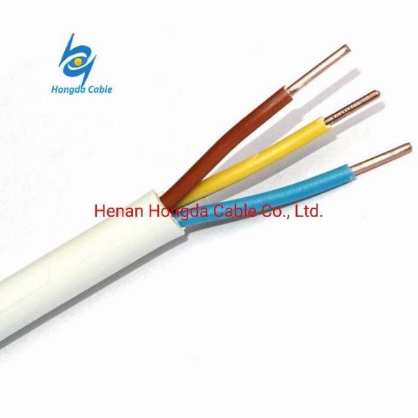 Cina 
                                 collegare rotondo piano flessibile dei cavi isolato PVC di memoria del rame 2 di 18AWG 10mm Soild                              produzione e fornitore