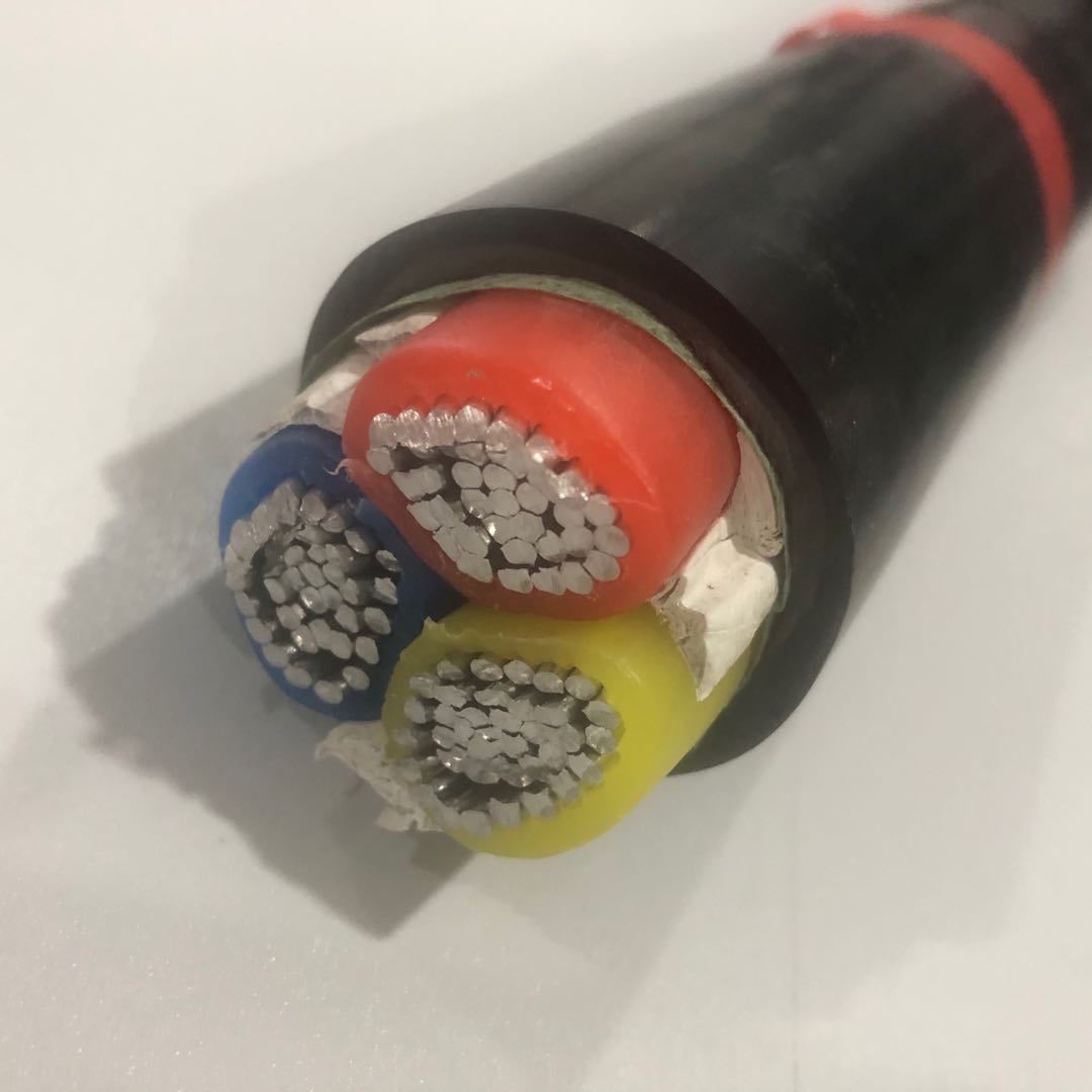 China 
                250 3 AWG XLPE Al/Core/PVC Cable 1000V
              fabricante y proveedor
