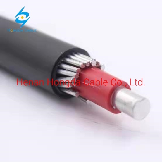 China 
                        2X10 2*16 XLPE Insulated HDPE Coverd Aerial Concentric Cable Two Cores Wire
                      manufacture and supplier