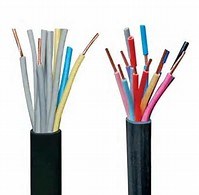 China 
                        300/500V Copper Conductor Flexible Shield Cable
                      manufacture and supplier
