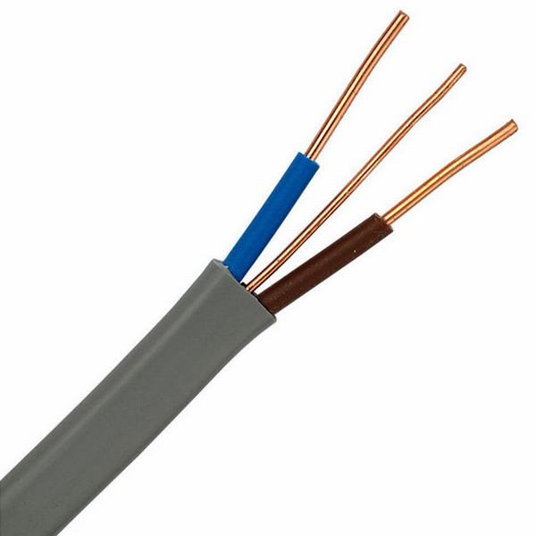 China 
                        450/750V 2+E Solid Twin and Earth Cable House Wiring Electric Cables
                      manufacture and supplier