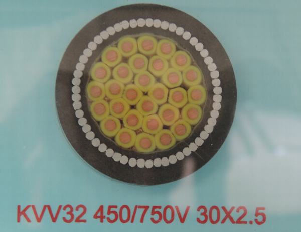 China 
                        450/750V, 600/1000V PVC Insulated Steel Wire Armored Control Cable
                      manufacture and supplier