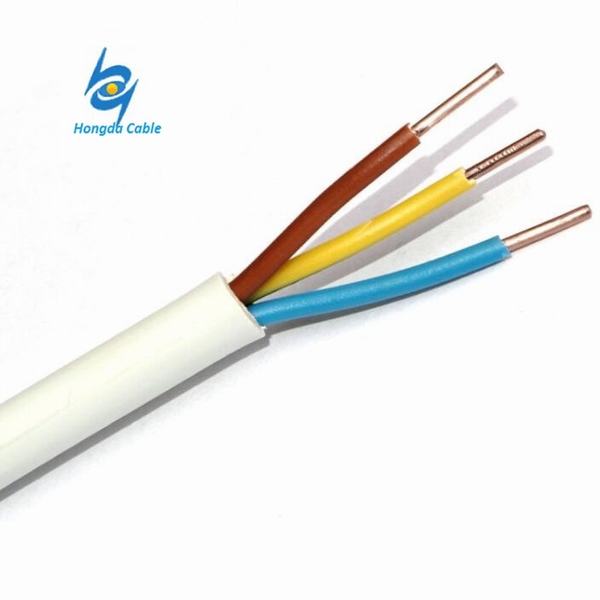China 
                        450V 3 Core 2.5mm Copper PVC Insulated Electric Wire Cable
                      manufacture and supplier