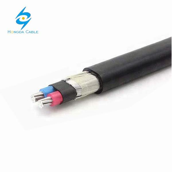 China 
                        600V Aluminium 8000 Series XLPE/PVC Concentric Cable Na2xcay
                      manufacture and supplier
