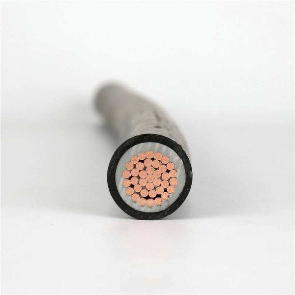China 
                        CV 70sq 1c LV Feeder Line XLPE Power Cable IEC Standard
                      manufacture and supplier