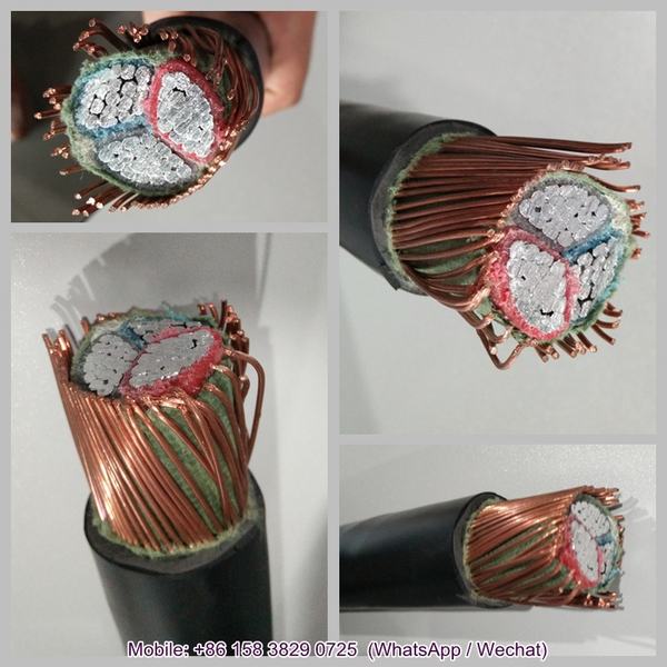 China 
                        Copper Conductor XLPE Insulated Armoured Electrical Cable
                      manufacture and supplier