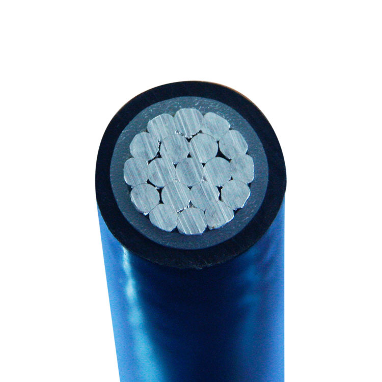 China 
                LV S/C Aluminum PVC Cable
              manufacture and supplier