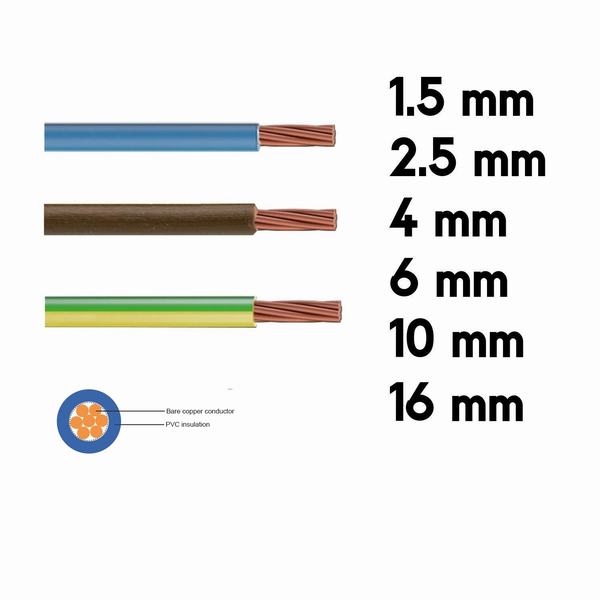 China 
                        Low Voltage Copper Wiring 6491X PVC Insulated Single Core Cable
                      manufacture and supplier