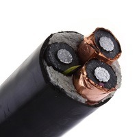 
                Cable de media tensión de 3 núcleos de 95mm2 se proyectó la cinta de cobre
            