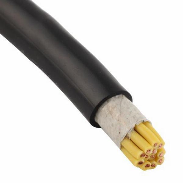 Китай 
                                 Многоядерные 2,5 мм 5 мм 7.5mm электрического кабеля с ПВХ изоляцией/XLPE изолированный кабель управления.                              производитель и поставщик
