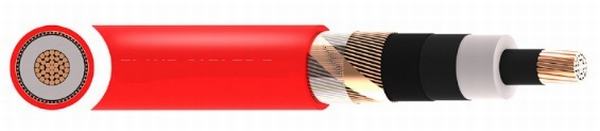 China 
                        N2xsy XLPE PVC-6/10 (12) Kv Cable BS 6622 En/IEC 60228
                      manufacture and supplier