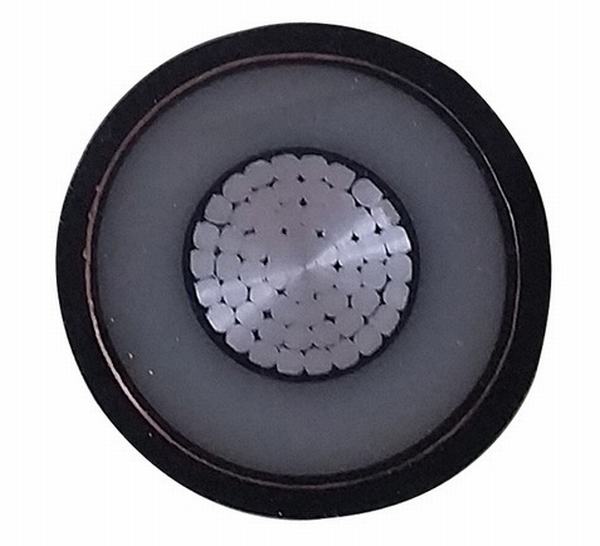 China 
                                 Na2xs (f) 2y Aluminium Conductor XLPE PE-12/20 (24) KV Cable                              Herstellung und Lieferant