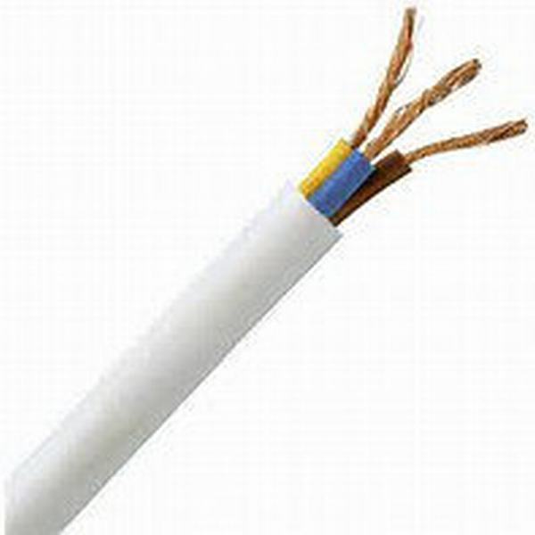 China 
                        PVC Insulated and Sheathed H05VV5-F Control Cable
                      manufacture and supplier