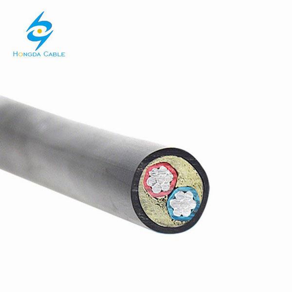 China 
                                 Dos núcleos de cable de alimentación de aluminio con aislamiento de cables XLPE chaqueta                              fabricante y proveedor