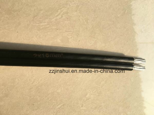 Cina 
                                 gemello 25mm2 AAC/PVC del conduttore di 0.6/1kv AAC coperto                              produzione e fornitore