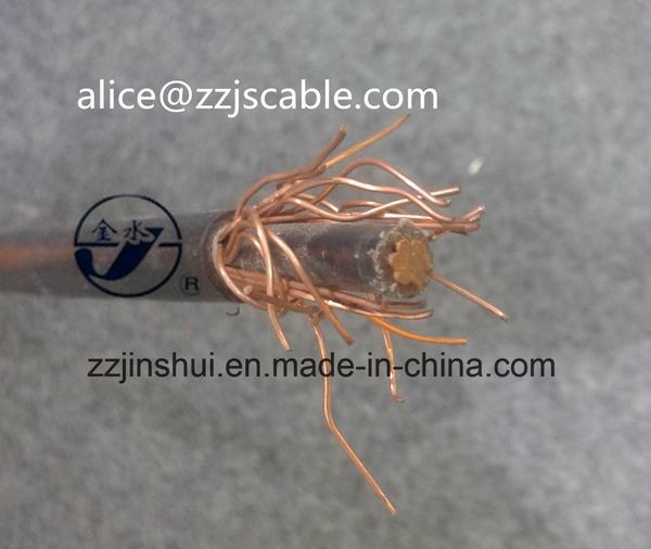 China 
                        0.6/1kv Concentric Cable 1*6AWG+6AWG XLPE Aluminum
                      manufacture and supplier