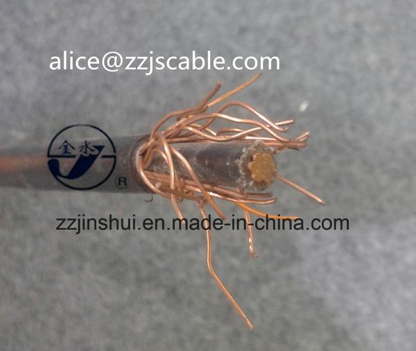 China 
                        0.6/1kv Concentric Cable 1*8AWG+8AWG XLPE Copper
                      manufacture and supplier
