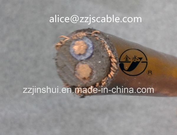 China 
                        0.6/1kv Concentric Cable 2*6AWG+6AWG Copper/XLPE/PVC Round Cable
                      manufacture and supplier
