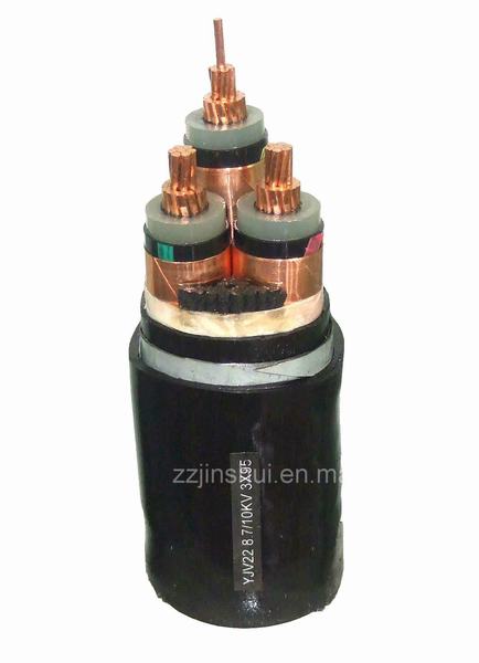 China 
                        1.0.6/1kV XLPE INSULATED POWER CABLE
                      manufacture and supplier