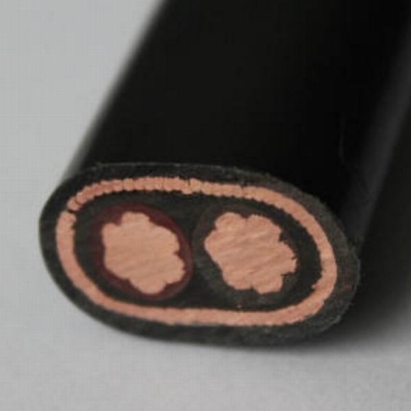 
                                 2X8 2X10 3X6 3X8 AWG aislamiento XLPE Cable de cobre concéntricos                            