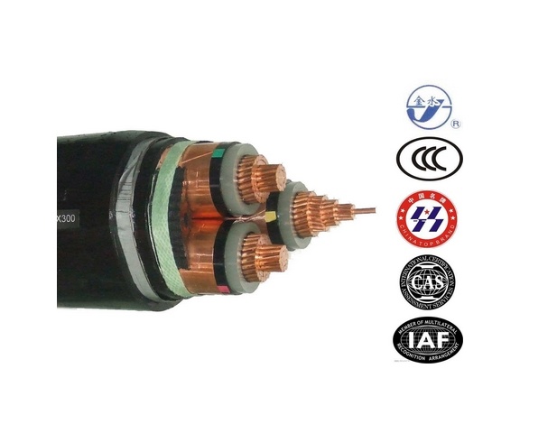 
                Câble d′alimentation blindé en fil d′acier XLPE 33 kV
            