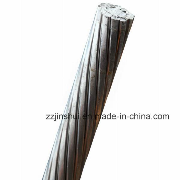 Cina 
                                 Tordo CSA C49 del cavo di rinforzo acciaio di alluminio del conduttore di ACSR                              produzione e fornitore