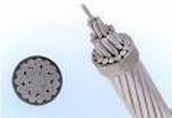 China 
                                 La norma ASTM AAAC Conductor de aleación de aluminio 100mm2                              fabricante y proveedor