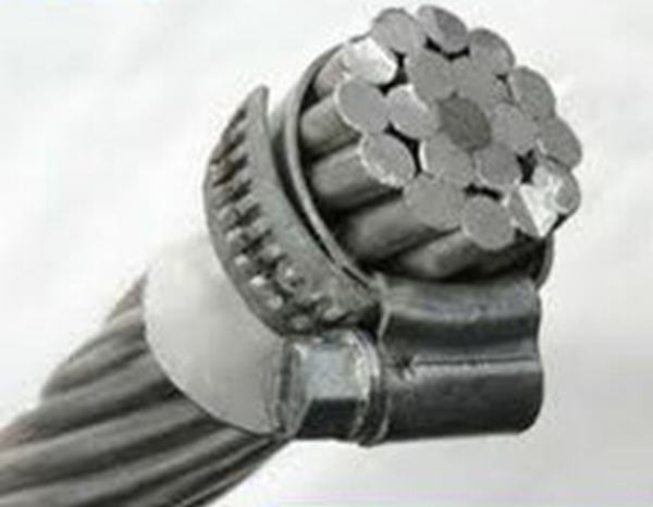China 
                        All Aluminum Alloy Stranded Bare Conductor 400mm ACSR/AAAC Cable
                      manufacture and supplier