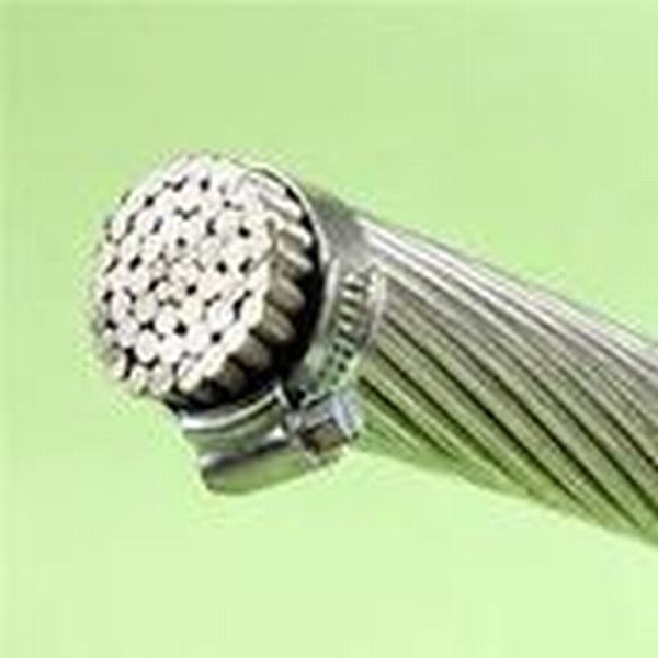 China 
                        Aluminium Stranded Conductor and ACSR Supplier
                      manufacture and supplier