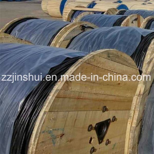 Chine 
                                 Câble d'aluminium Caai (3*16+1*16+N25) mm2 avec AAAC Neutre                              fabrication et fournisseur