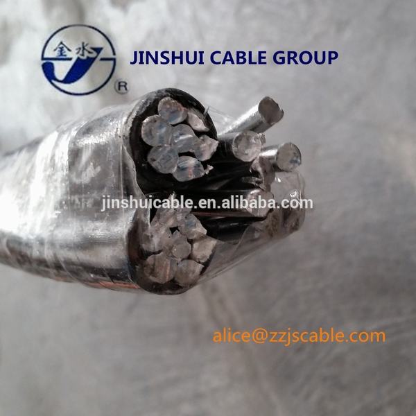 China 
                                 Los conductores de aluminio XLPE/PE ABC Cable Cable 3*1/0AWG ACSR neutro                              fabricante y proveedor