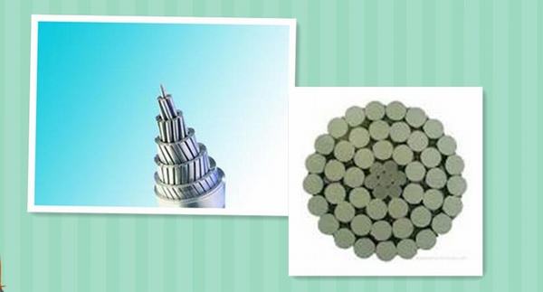 China 
                        Bare Conductor for Overhead Conductor ACSR 50m2 Rabbit BS-215 Part 2
                      manufacture and supplier
