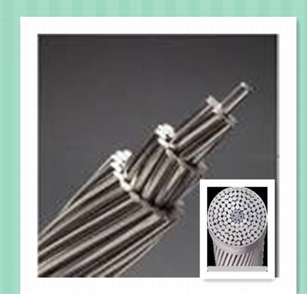 China 
                        Bare Overhead Aluminium Conductor Steel Reinforced ACSR Withbs/ASTM/CSA Standard
                      manufacture and supplier