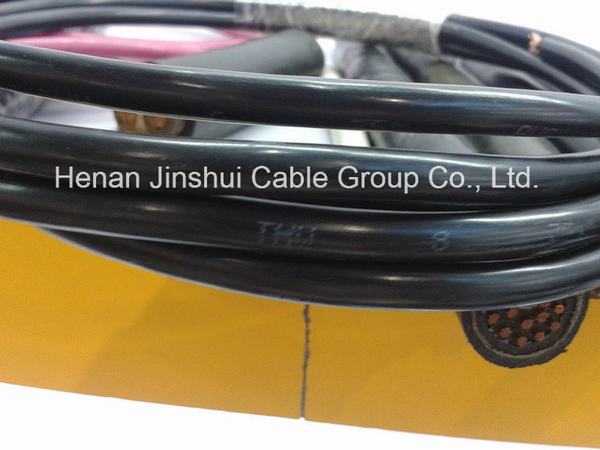 China 
                        China Reliable Supplier Thw Wire AWG8
                      manufacture and supplier