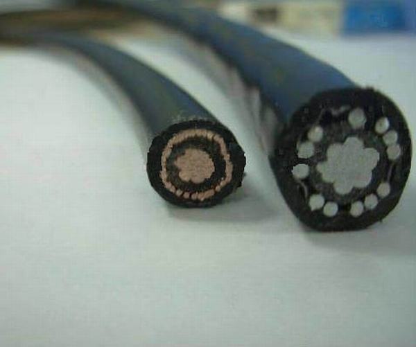 China 
                        Concentric Cable 16mm2
                      manufacture and supplier