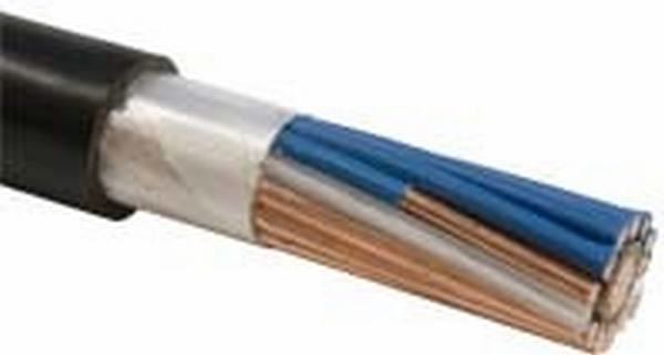 China 
                        Concentric Cable PE/XLPE Sheath
                      manufacture and supplier