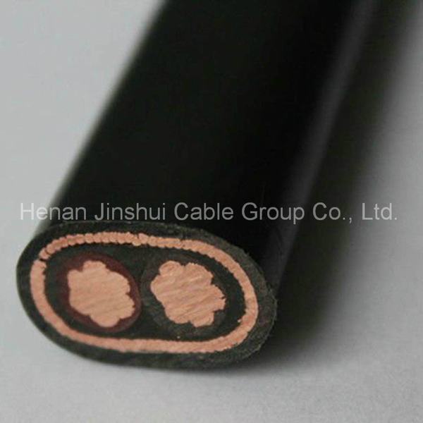 China 
                        Copper Conductor 2 Core Flat Concentric Cable 16mm2
                      manufacture and supplier