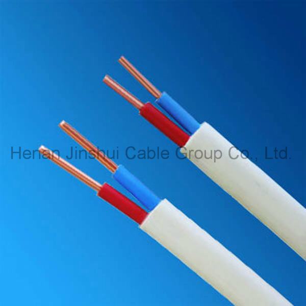 China 
                        Copper Conductor PVC Sheath Electrical Wire for Housing Installation
                      manufacture and supplier