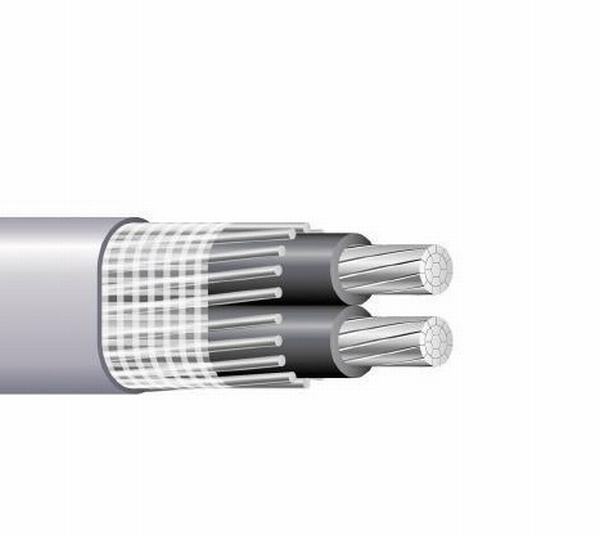 Chine 
                                 Duplex en alliage en aluminium résistant aux UV Câble concentrique                              fabrication et fournisseur