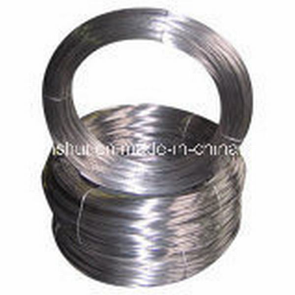 China 
                        High Quality Galvanize Spring Steel Wires High Carbon Material
                      manufacture and supplier