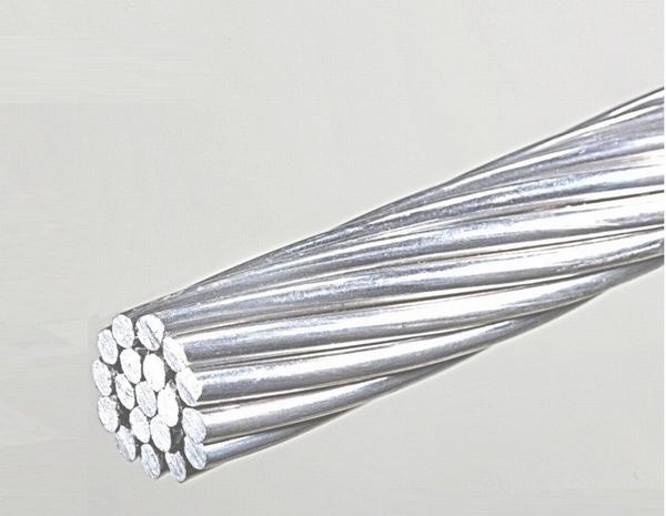 China 
                        High Voltage All Aluminum Conductor--AAC Heuchera
                      manufacture and supplier