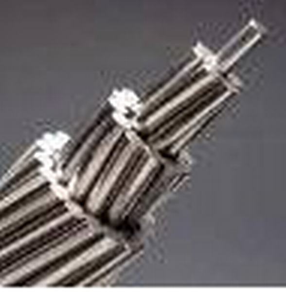 China 
                        High Voltage Aluminium Conductor Stranded Steel Reinforced AAC/AAAC/ACSR
                      manufacture and supplier