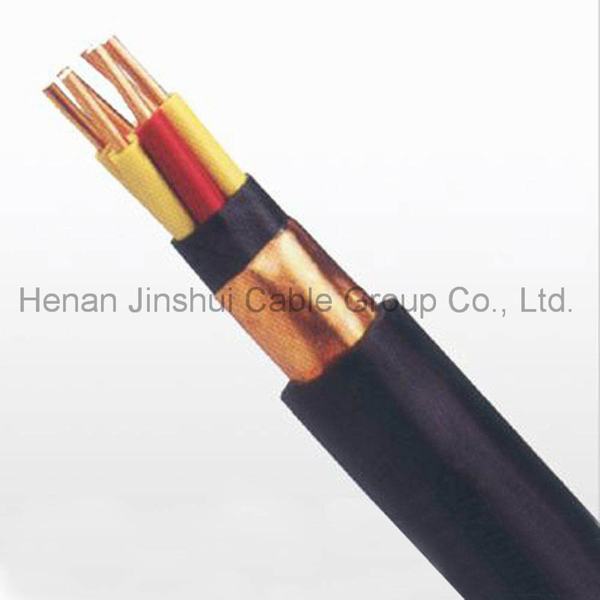 Chine 
                                 Multi-coeur basse tension du câble de commande de blindés de bandes de cuivre                              fabrication et fournisseur