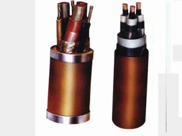 China 
                                 Cable de alimentación de baja tensión de 4X185+1x95mm2 blindados aislamiento XLPE ignífugo                              fabricante y proveedor
