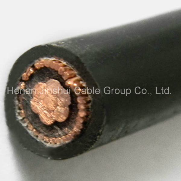 China 
                        Low Voltage XLPE Insulation Aerial Concentric Service Cable 16mm2
                      manufacture and supplier