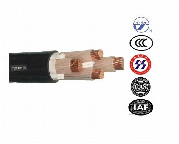 China 
                        Mv XLPE Insulated Powercable with Best Quality
                      manufacture and supplier