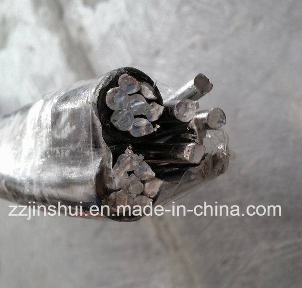 China 
                                 Cable de aluminio toldo Triplex 6 AWG Voluta                              fabricante y proveedor