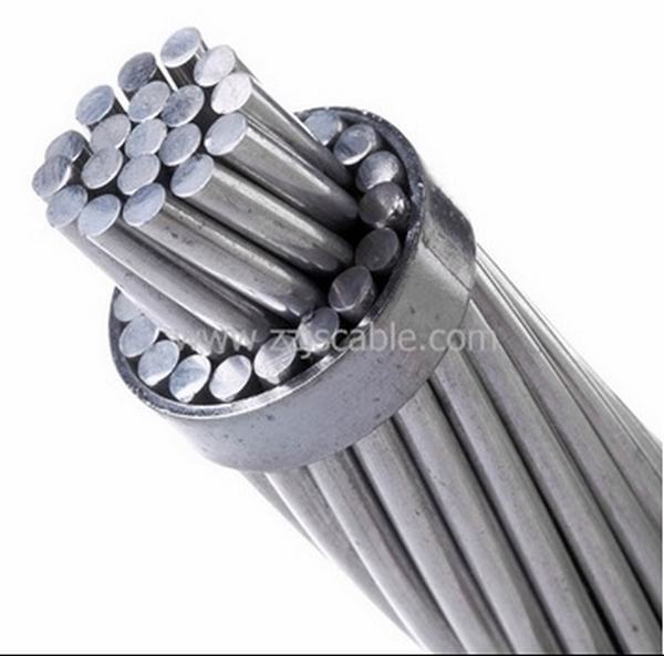 China 
                                 Obenliegende Aluminiumleiter Stahl-Verstärkten kundenspezifische ACSR Mole                              Herstellung und Lieferant