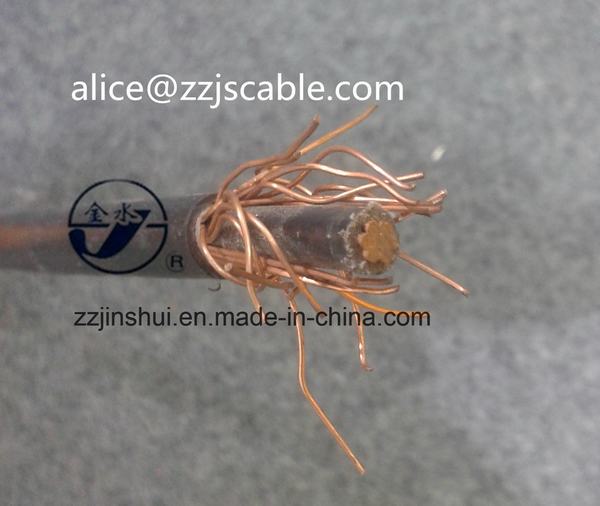 China 
                        Overhead Cable 1*10+10mm2 Concentric Cable Copper XLPE 0.6/1kv
                      manufacture and supplier