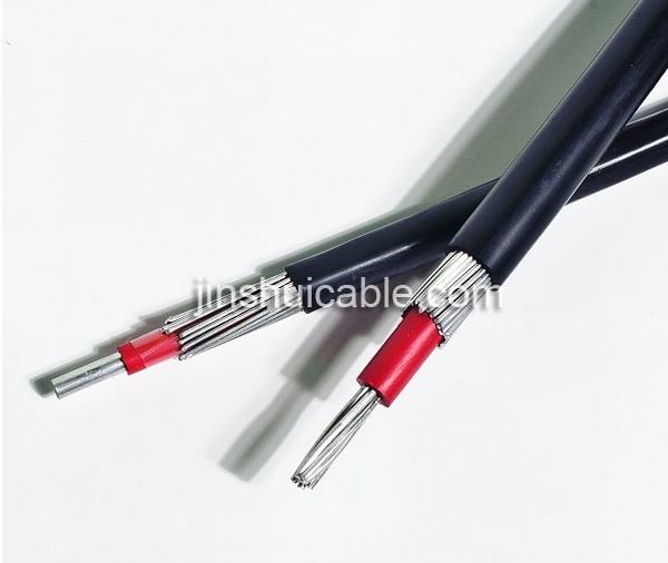 China 
                        Professional Manufacturer 600V Aluminum or Copper Concentric Power Cable
                      manufacture and supplier